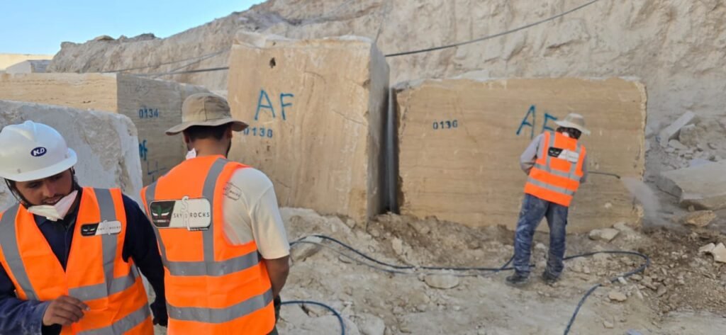 8c2e3e13 6fbc 4a3a 8b25 b3b9a26e0341